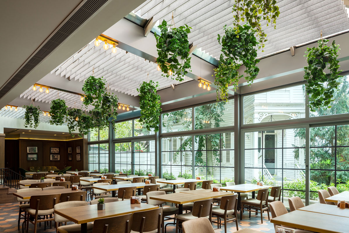 Bright airy building with plants hanging from ceiling