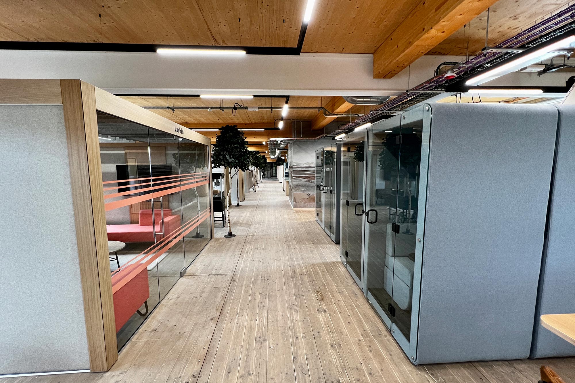 Yorkshire Housing - The Place office space with magnetic track lighting
